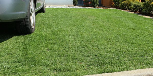 Grass Reinforcement – Grass Paving